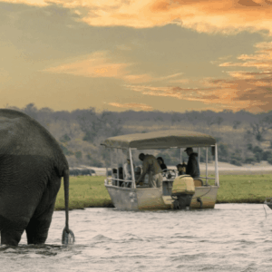 Botswana safari chobe national park Botswana kleingruppenreise im okavango delta und chobe nationalpark