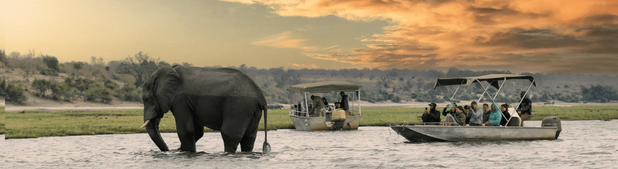 Safari okavango delta boote und elefant