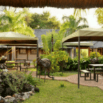 Botswanaunterkunft Botswana hübsche Unterkunft im Grünen