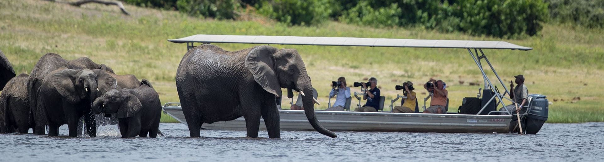 Fotoboot Elefant Botswana