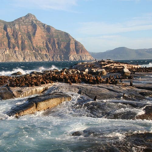 Vorschaubild zu Reise Südafrika - Vom Krüger in die Malerische Stadt Kapstadt Südafrika Blick auf den Tafelberg