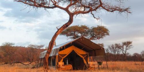 Kati kati serengeti Tansania safari kati kati camp tansania safari spezialist