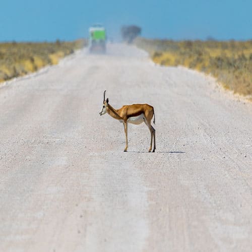 Namibia Selbstfahrer Vorschaubild