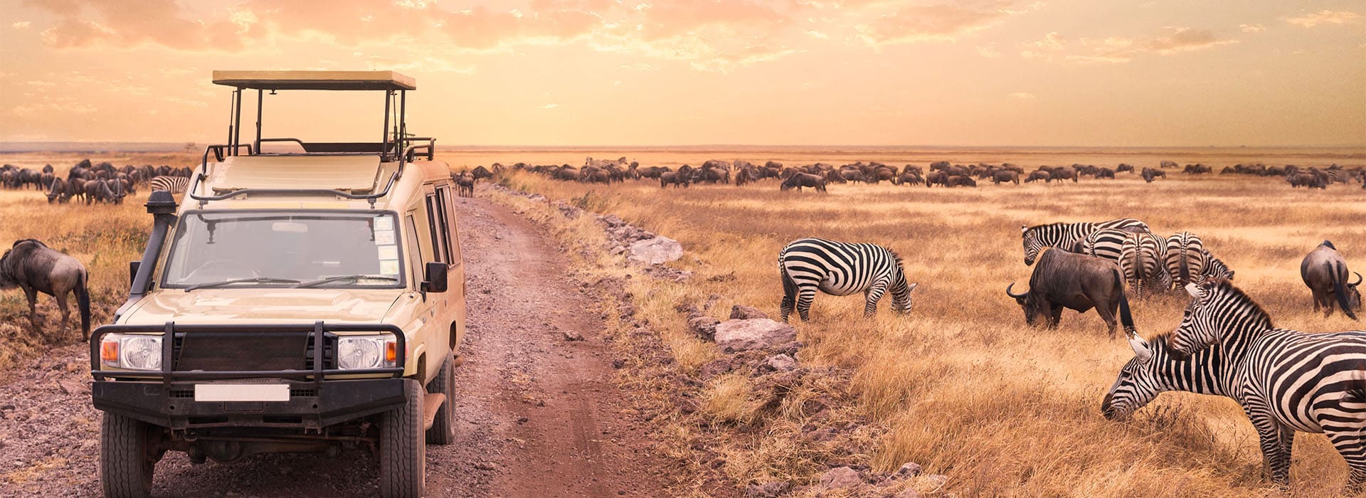 Kleingruppenreisen Tansania Serengeti Tierbeobachtungen