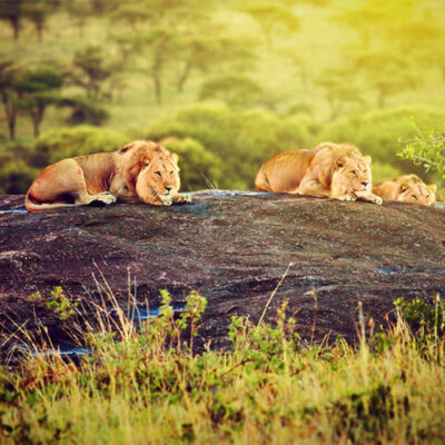 Einzigartiges Tansania Kleingruppenreise_ 7 Tage Tansania Kleingruppenreise