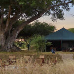 Tansania Camps