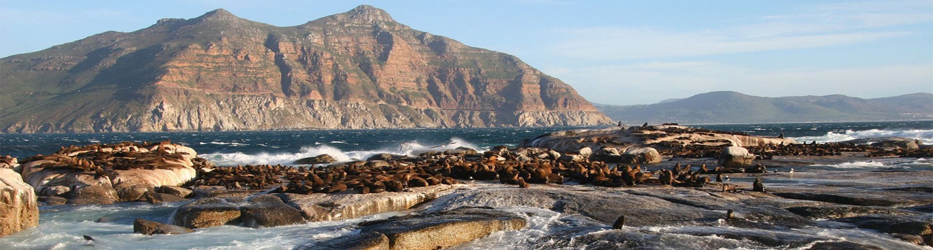 Banner Bild zur Kleingruppenreise Südafrika Berg Ozean Seelöwen
