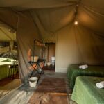Tansania Kati Kati Campin der Serengeti Zelt