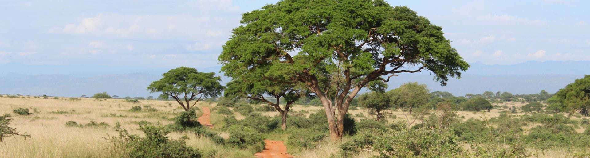 Bild zur Kleingruppenreise in Uganda Queen Elizabeth National Park