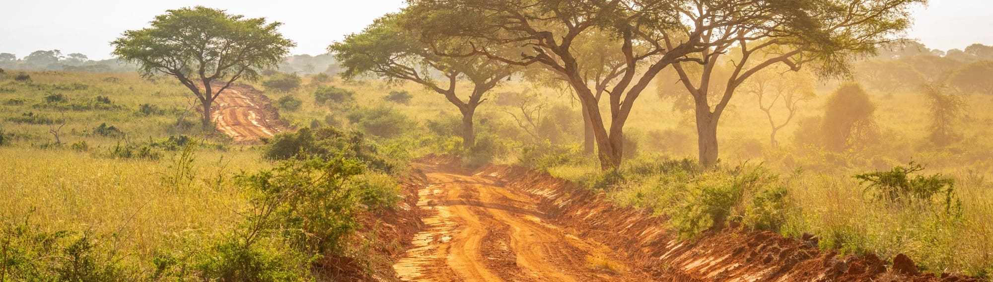 Uganda Selbstfahrer Straße