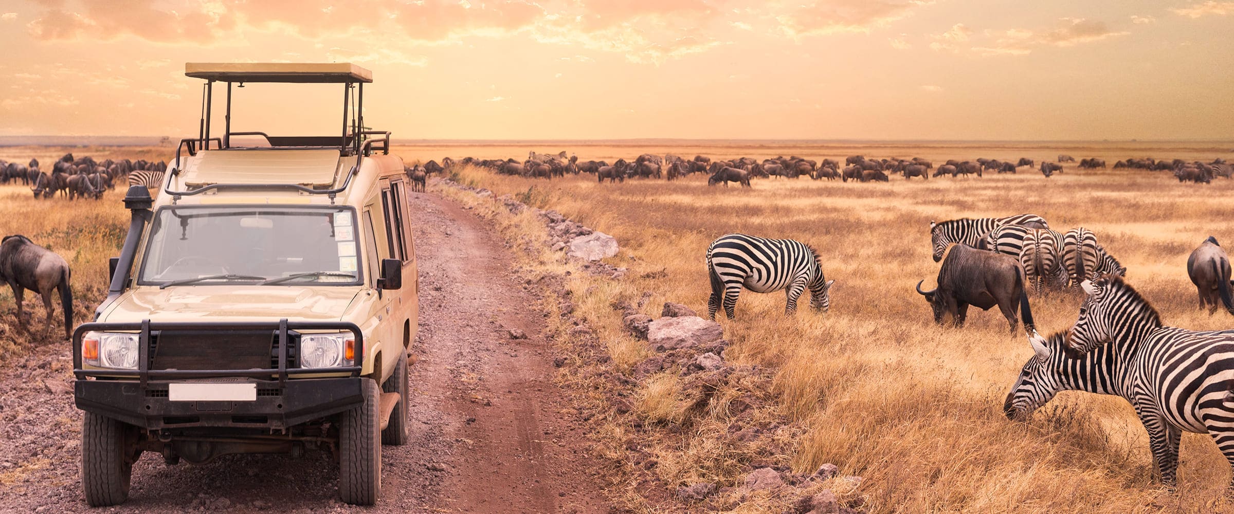 Tansania Kleingruppenreisen und Safaris Bannerbild
