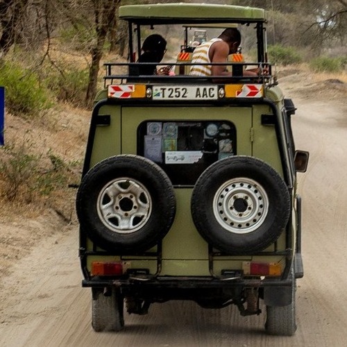Vorteile Tansania Safari individuell Safari Fahrzeug im Tarangire