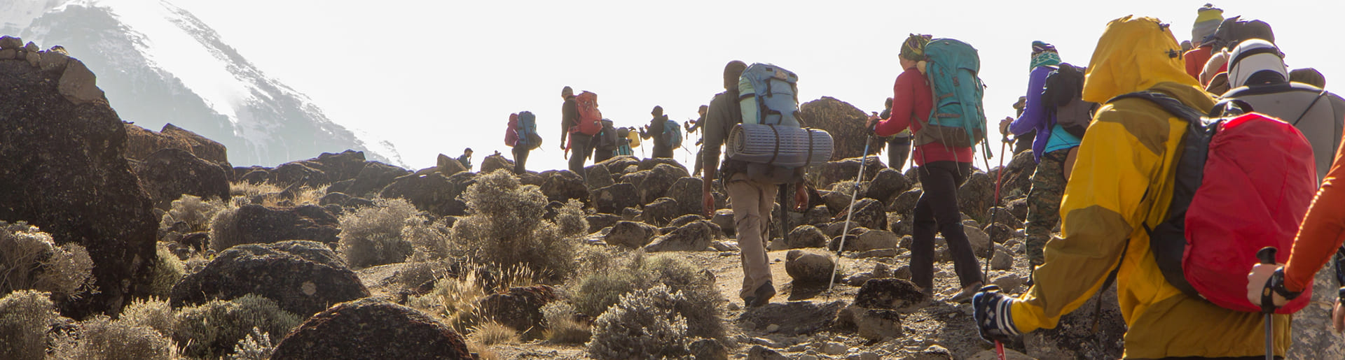 Kilimanjaro Trekking, Gruppe Lemosho Route