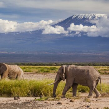 Kilimanjaro Trekking