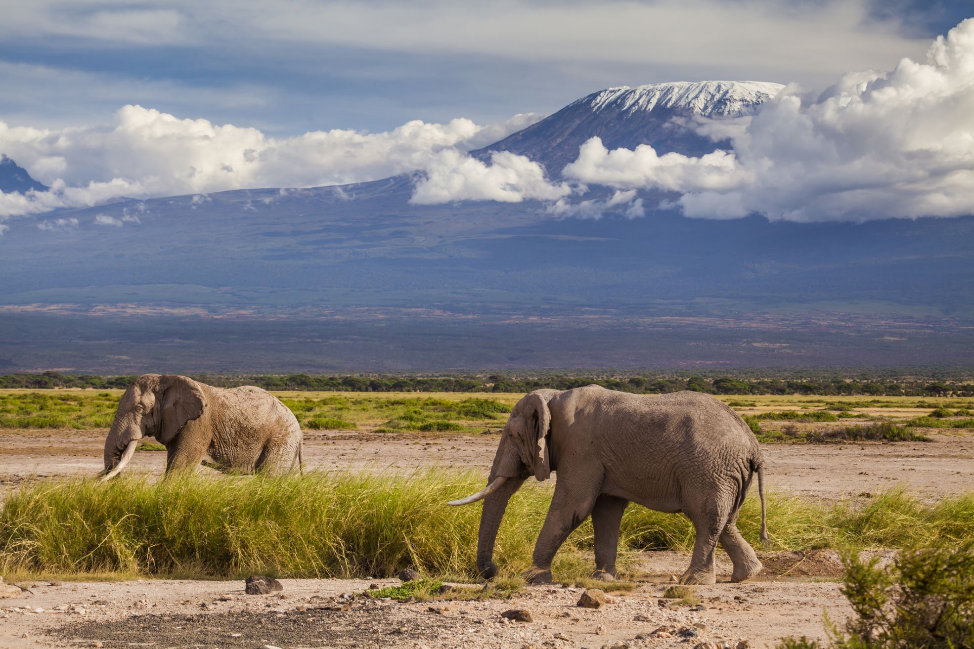 Kilimanjaro Trekking