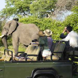 Südafrika Gruppenreise Pirschfahrt Nationalpark, Reisen in kleinen Gruppen