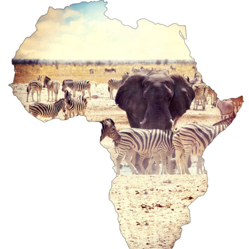 Kontinent Afrika TUKIO Afrika Kleingruppenreisen und individuelle Reisen nach Afrika
