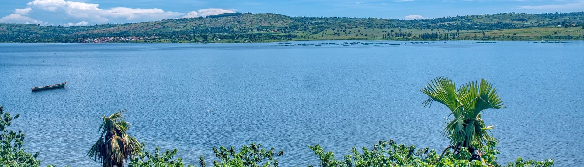 Uganda Gelbfieberimpfung aufgehoben Reisen nach Uganda